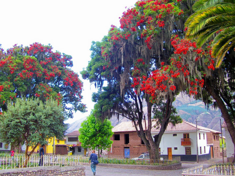 andahuaylillas (1)