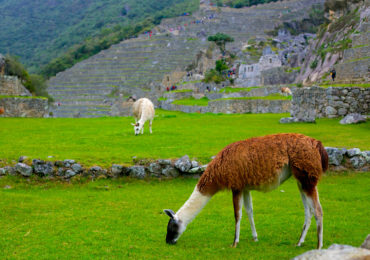 machupicchu-4