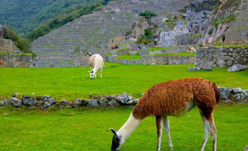 machupicchu-4